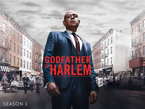 Godfather of harlem season 1 123movies  Starring Forest Whitaker, Vincent D'Onofrio, Ilfenesh Hadera